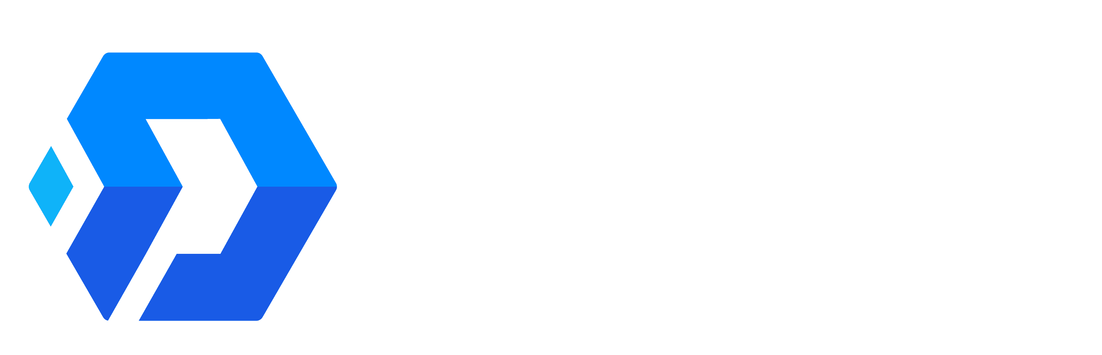 DNS Logo